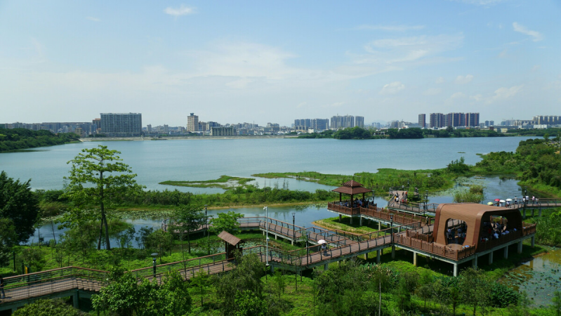 盤點深圳十大最美公園，你最愛的是哪個公園？